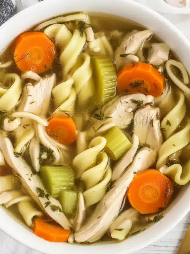 Bowl of homemade chicken noodle soup with chicken, carrots, and egg noodles