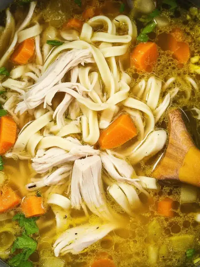 Bowl of Instant Pot Chicken Noodle Soup with chicken, carrots, and noodles in broth.